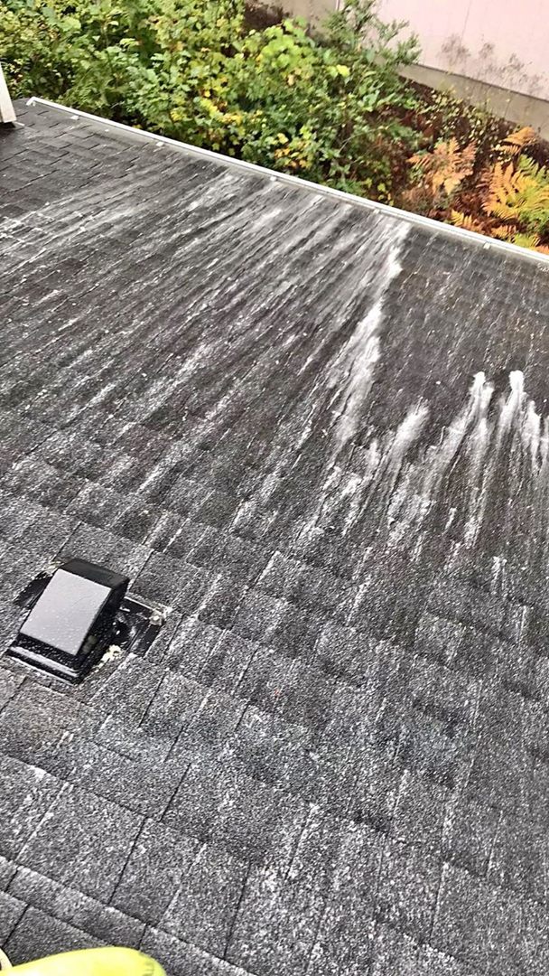 Moss treatment being applied down an asphalt shingle roof