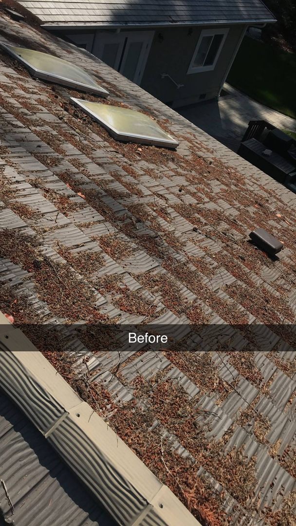 Shake-style roof with skylights, covered in needles and debris, before cleaning